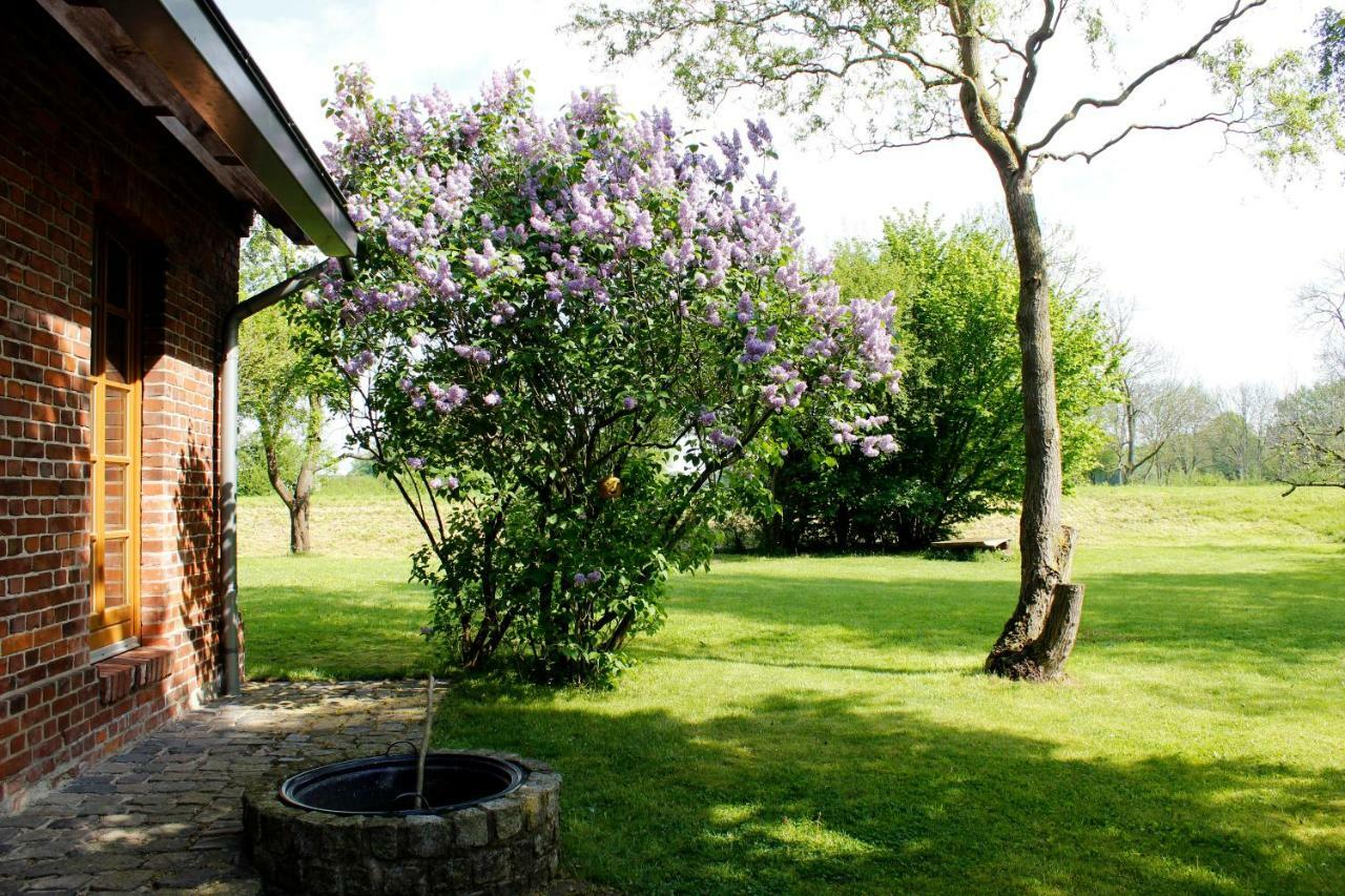 Fewos in Klein-Grindau Schwarmstedt Exterior foto